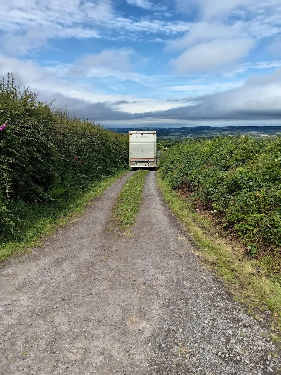 horse lorry - Image 1