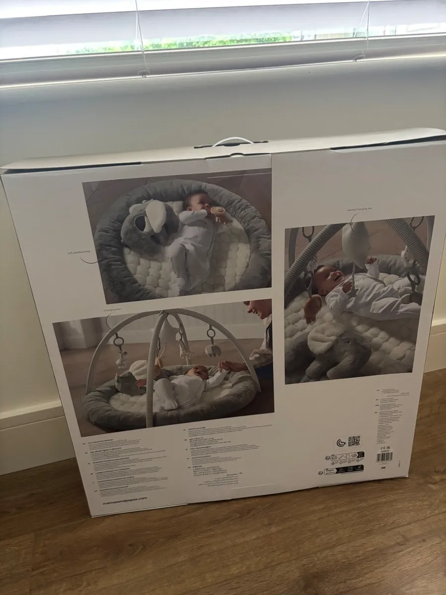 Playmat and gym baby - Image 1