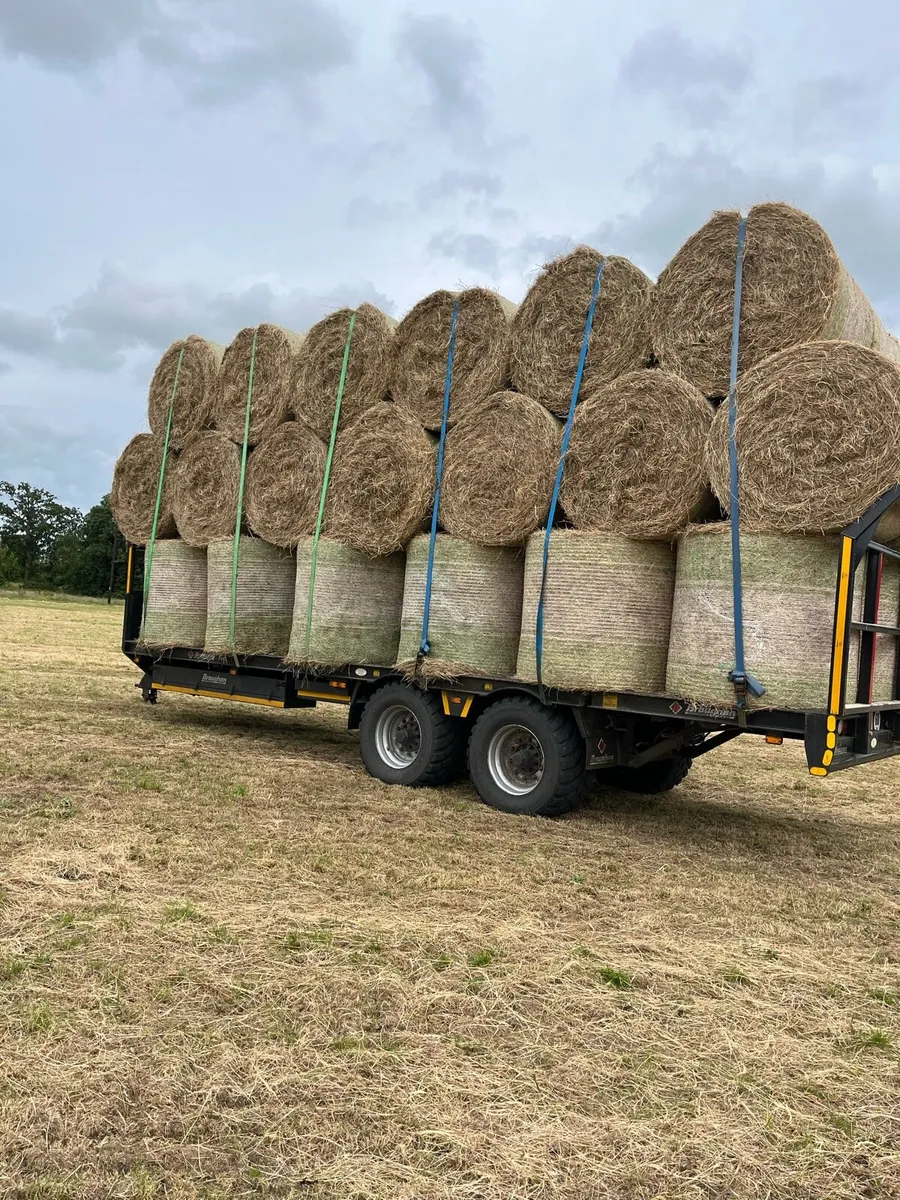 Hay - Image 1