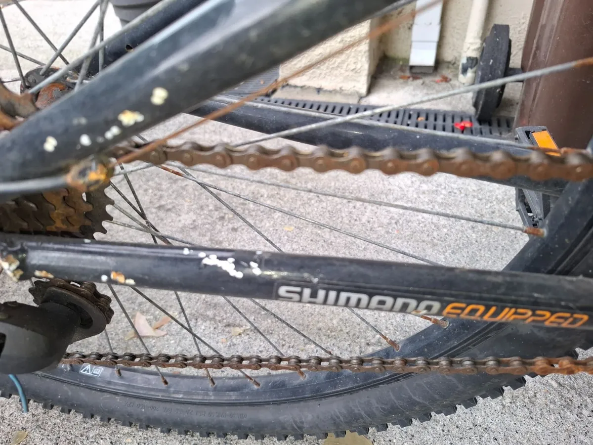 Bike Apollo - Image 2