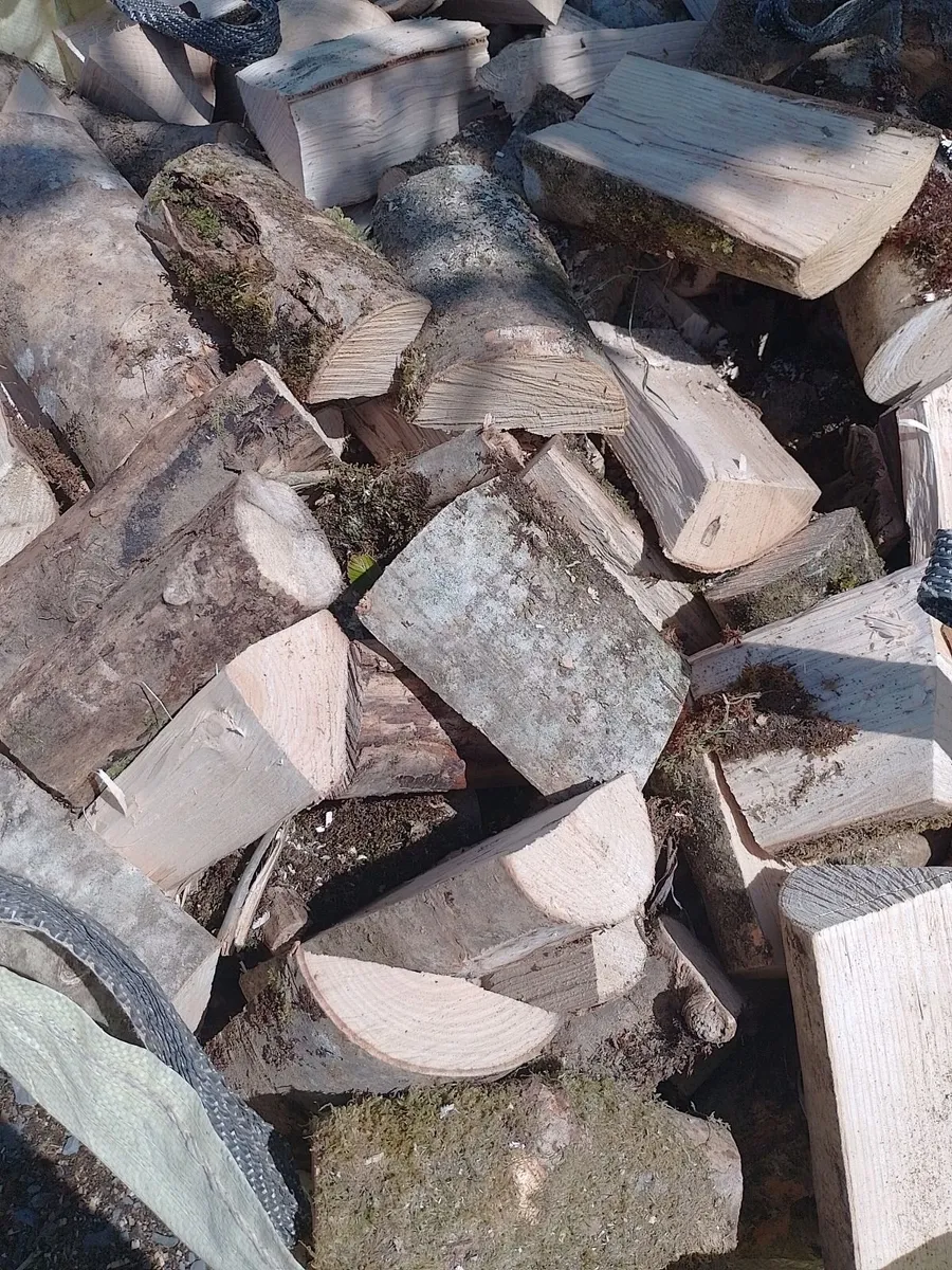 Firewood - Image 1