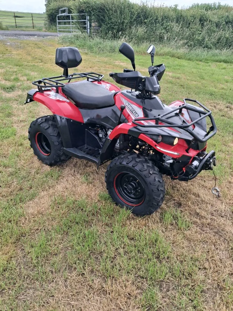 Quadzilla 300cc 2w4wd - Image 2