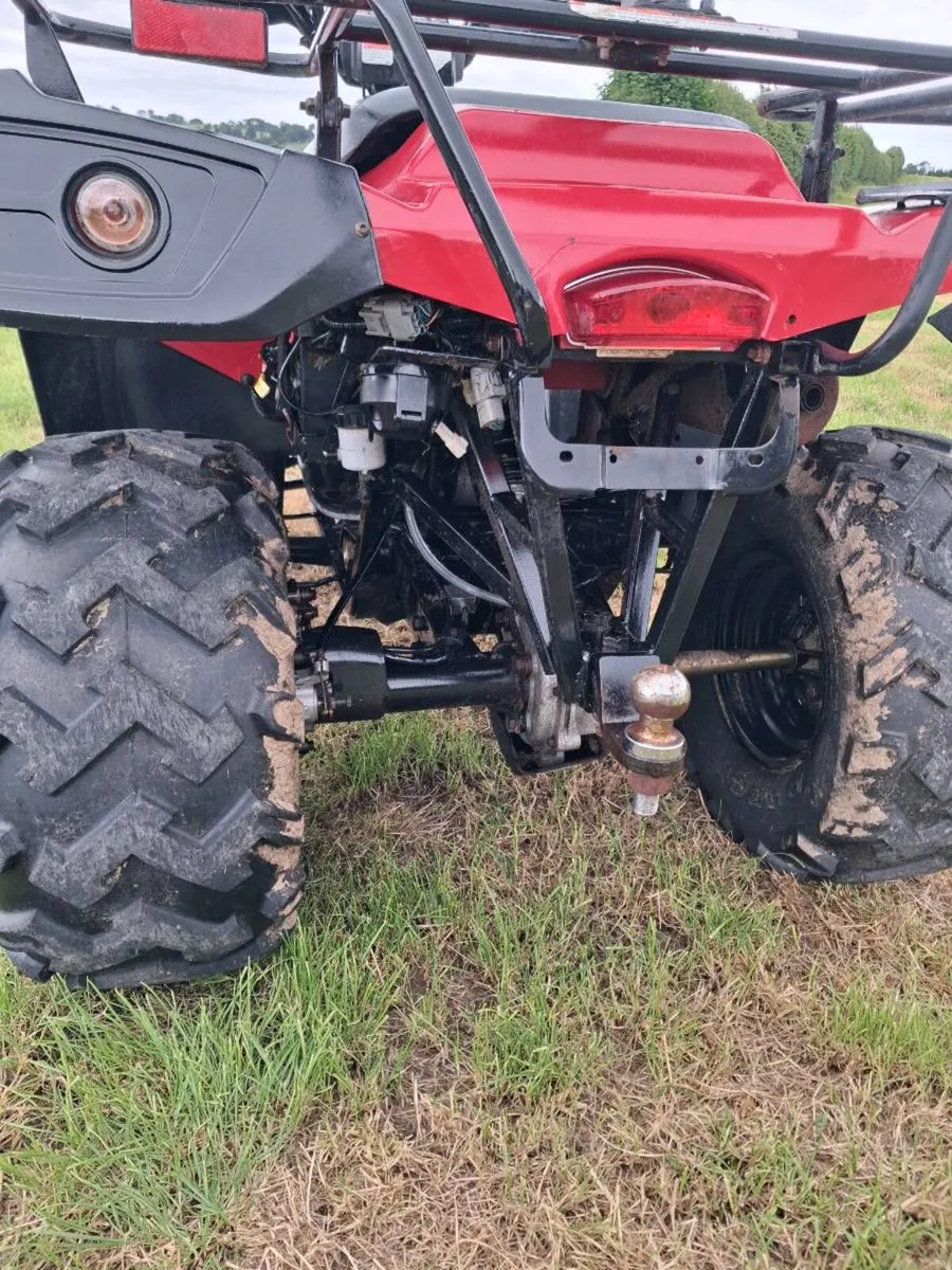 Quadzilla 300cc 2w4wd - Image 4