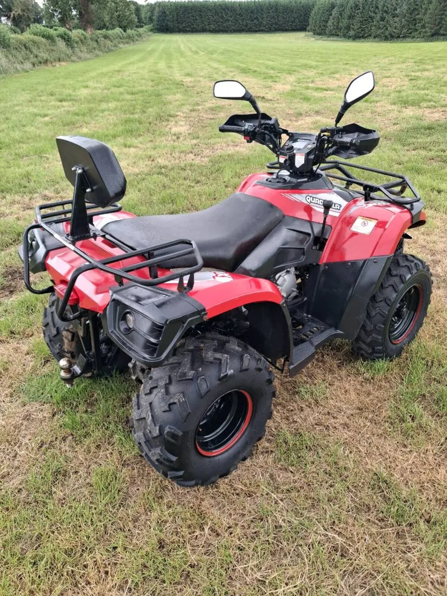 Quadzilla 300cc 2w4wd - Image 3