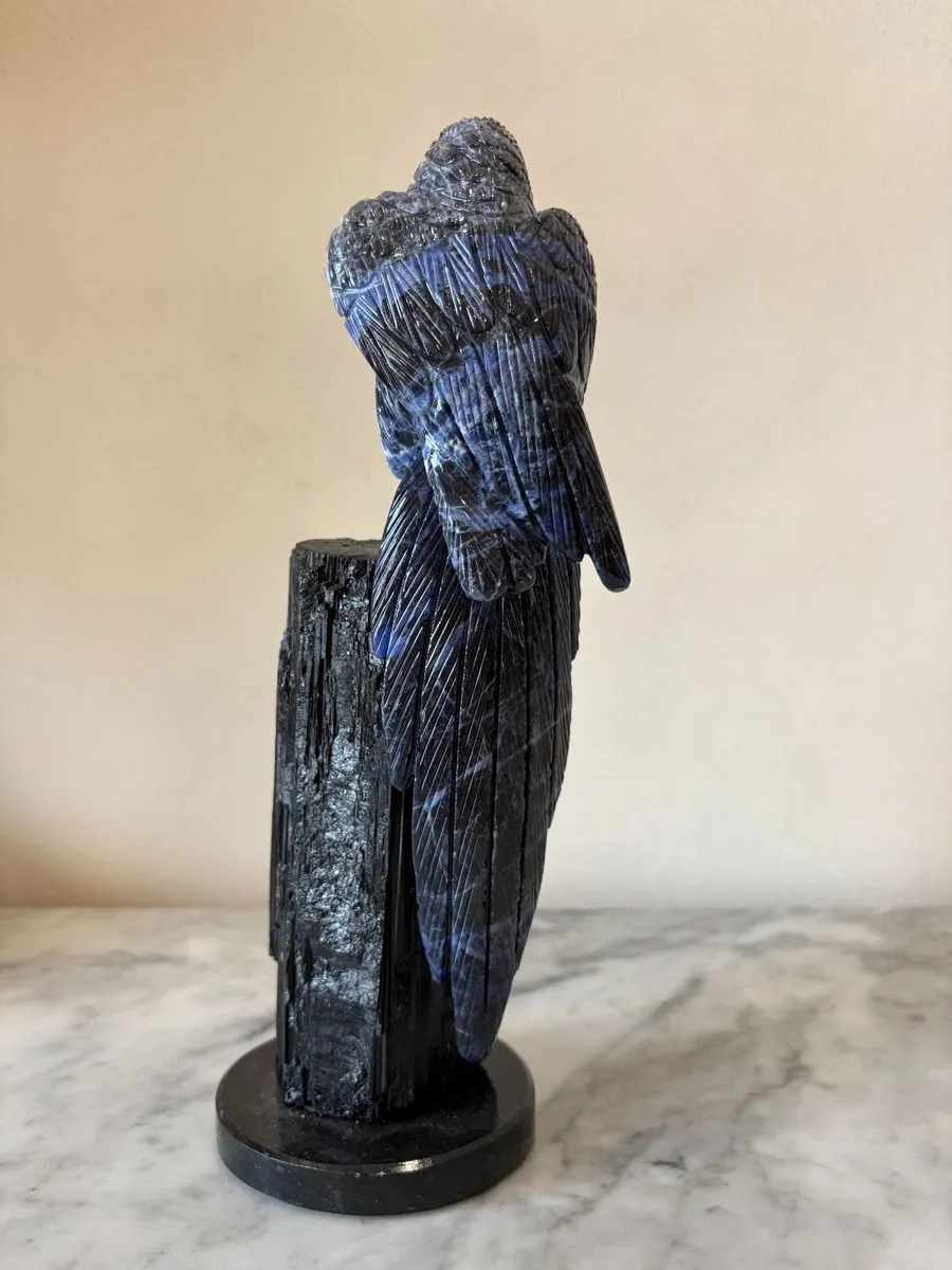 🦜 Large Hand-Carved Blue Sodalite Macaw - Image 3