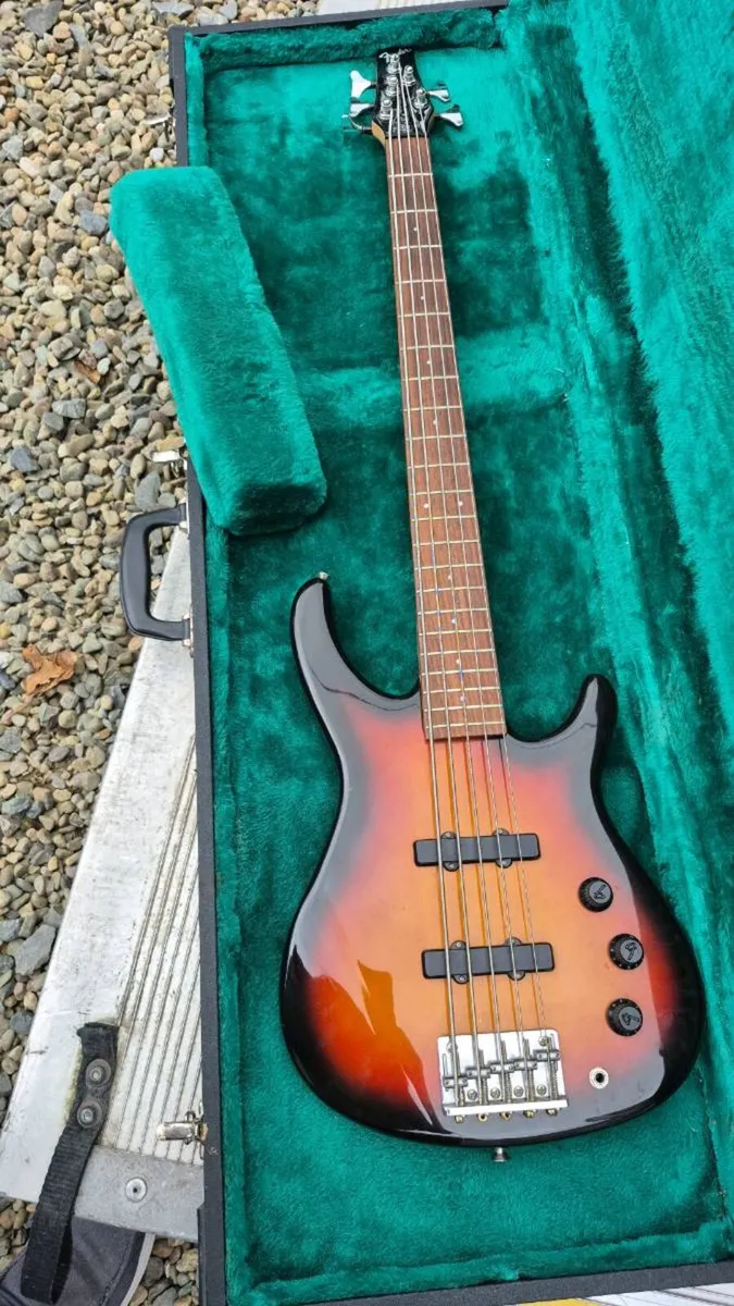 Fender bass - Image 1