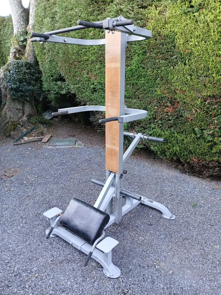 Powertec Leverage Chin/Dip Assist Plus - Image 1