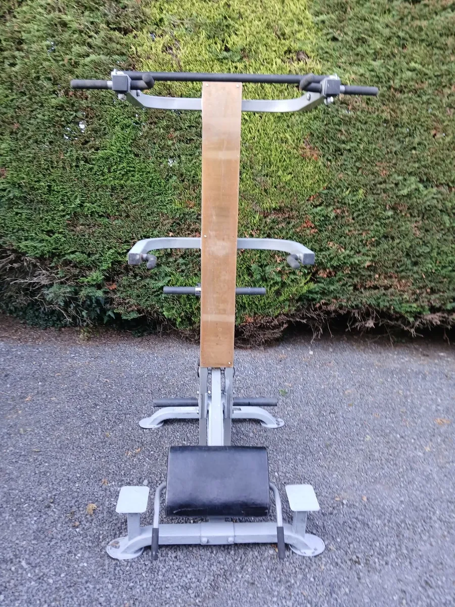 Powertec Leverage Chin/Dip Assist Plus - Image 2