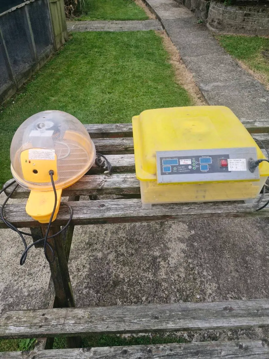 Incubators - Image 1