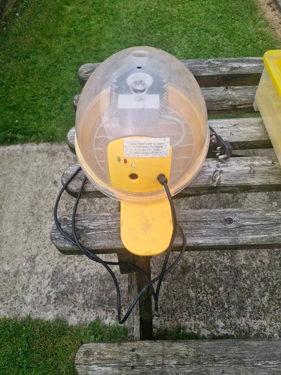 Incubators - Image 2