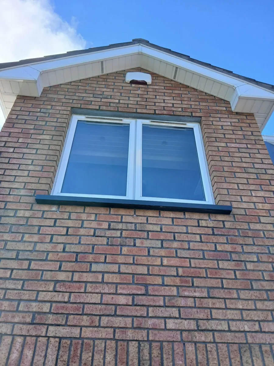 Windows and door - Image 1
