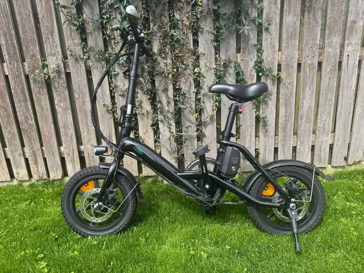 Fiido D3 Pro Mini Electric Bike