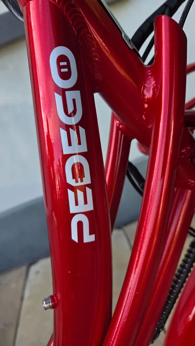 Pedego Electric Cargo bike - Image 2