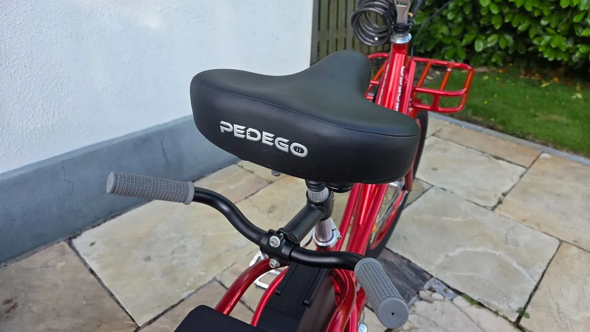 Pedego Electric Cargo bike - Image 3