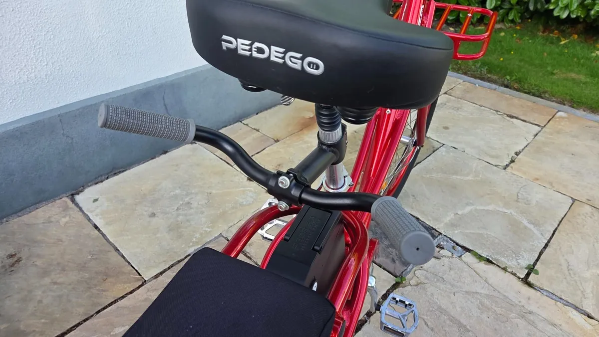 Pedego Electric Cargo bike - Image 4