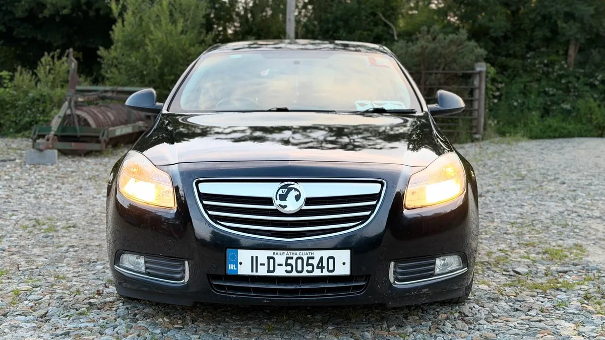 Opel Insignia - Image 1