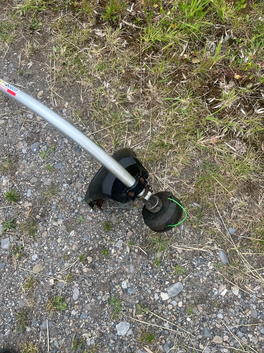 Strimmer - Image 4
