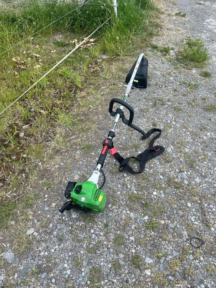 Strimmer - Image 1