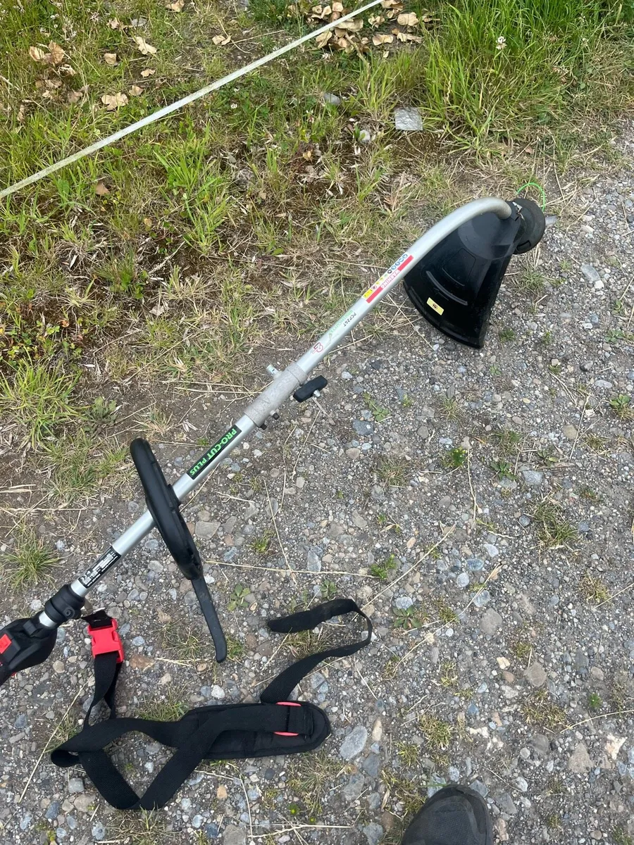 Strimmer - Image 3