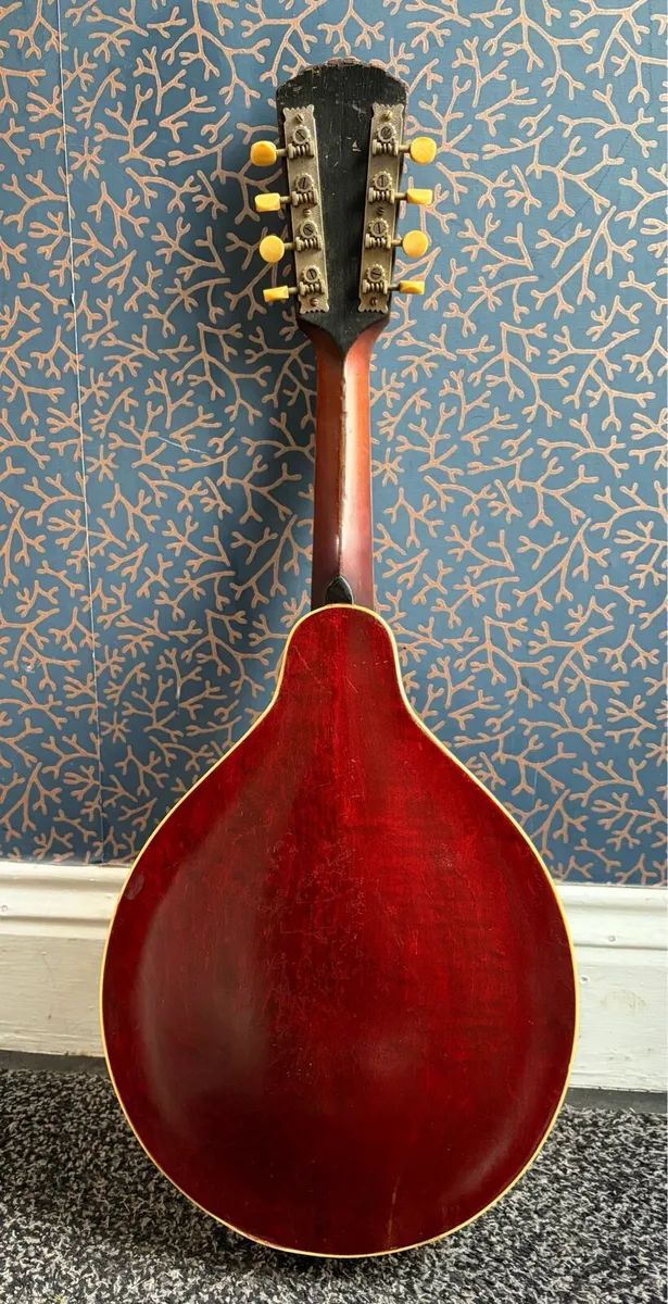 Gibson A3 Mandolin - Image 2
