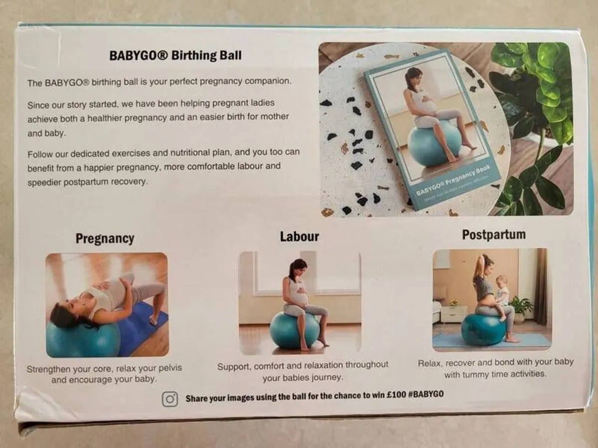 Birthing Ball - Image 3