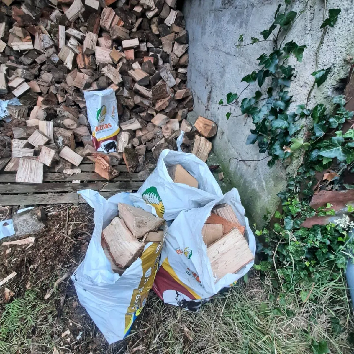 Firewood - Image 1