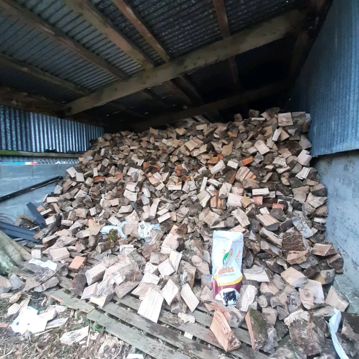 Firewood - Image 2