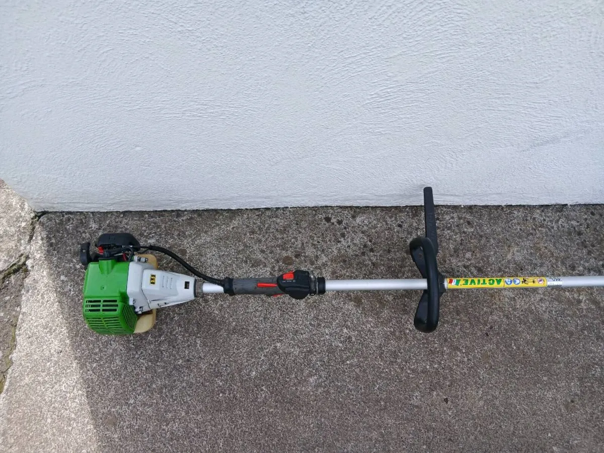 Castlegarden petrol Strimmer - Image 2