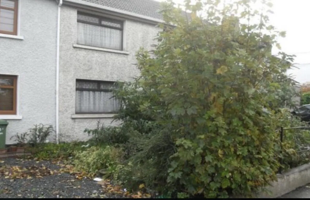Reliable Painting and Property Services - Image 2