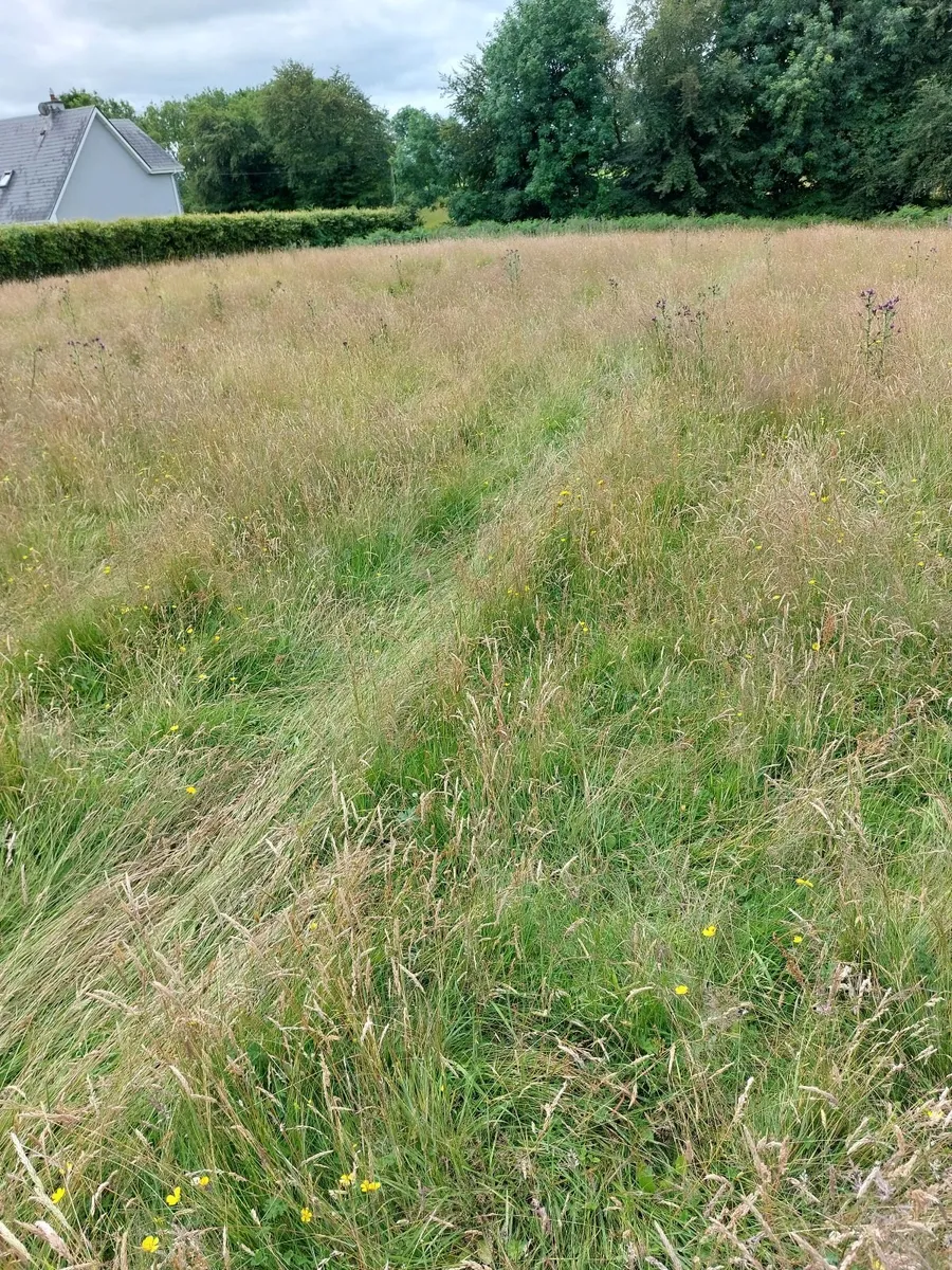 Site - Image 1