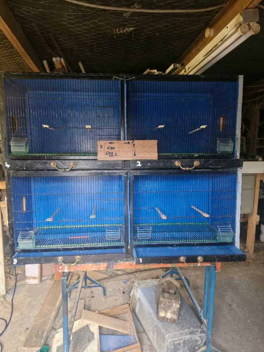 Breeding boxs - Image 1