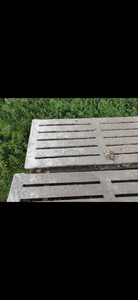 Cattle slats - Image 1