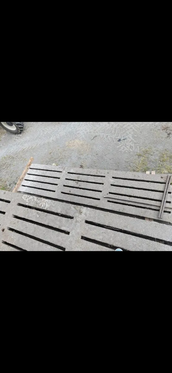 Cattle slats - Image 2