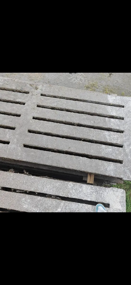 Cattle slats - Image 3
