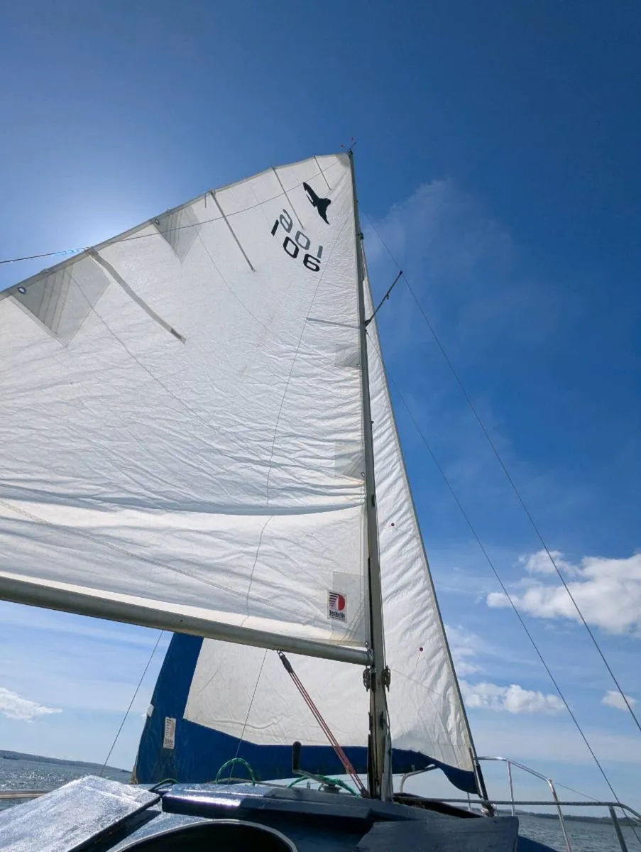 Seal 22 sailboat - Image 2