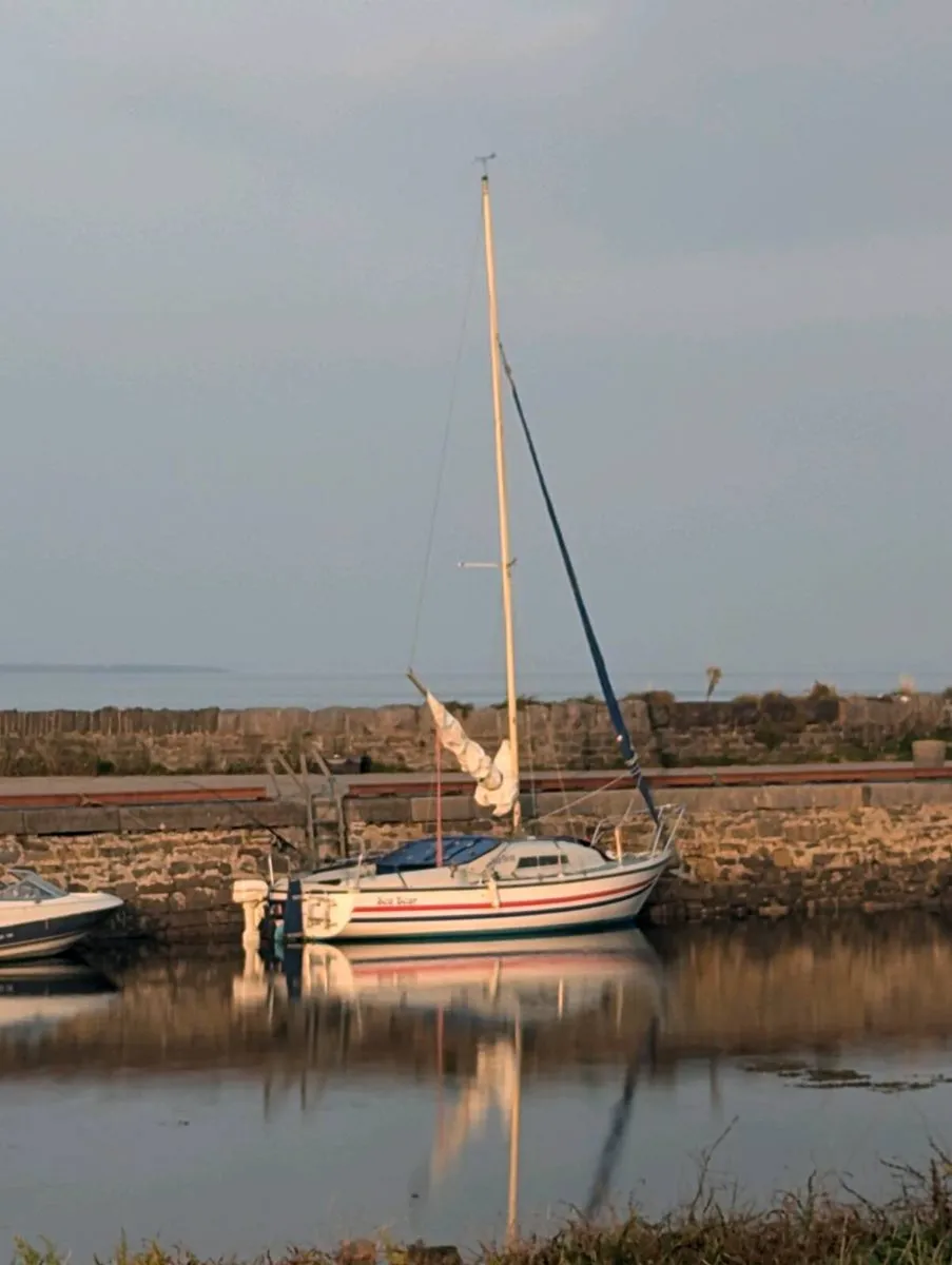 Seal 22 sailboat - Image 3