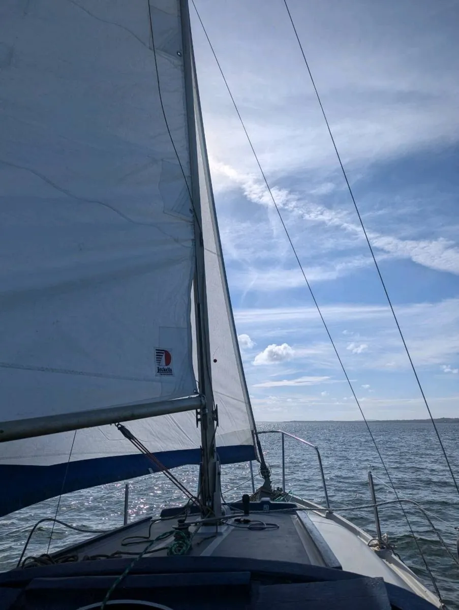 Seal 22 sailboat - Image 4