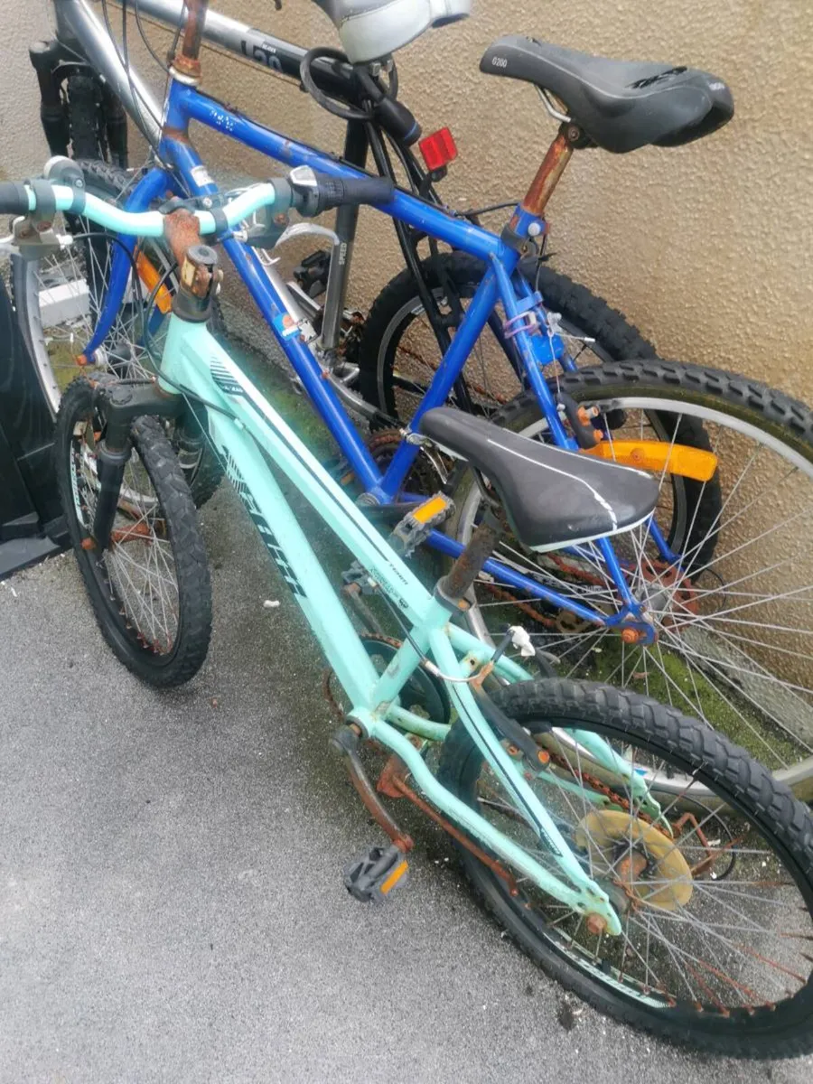 Bike's - Image 1