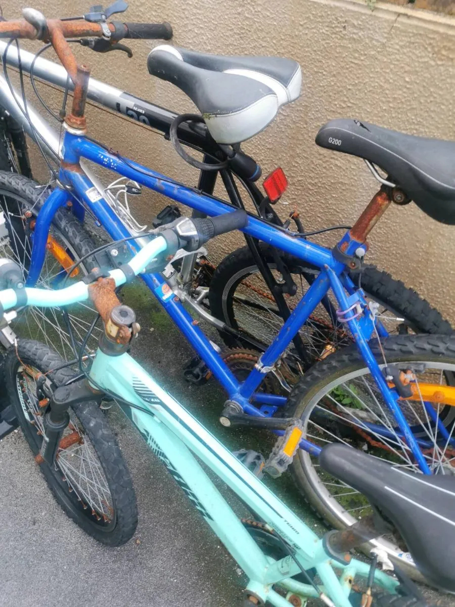 Bike's - Image 2