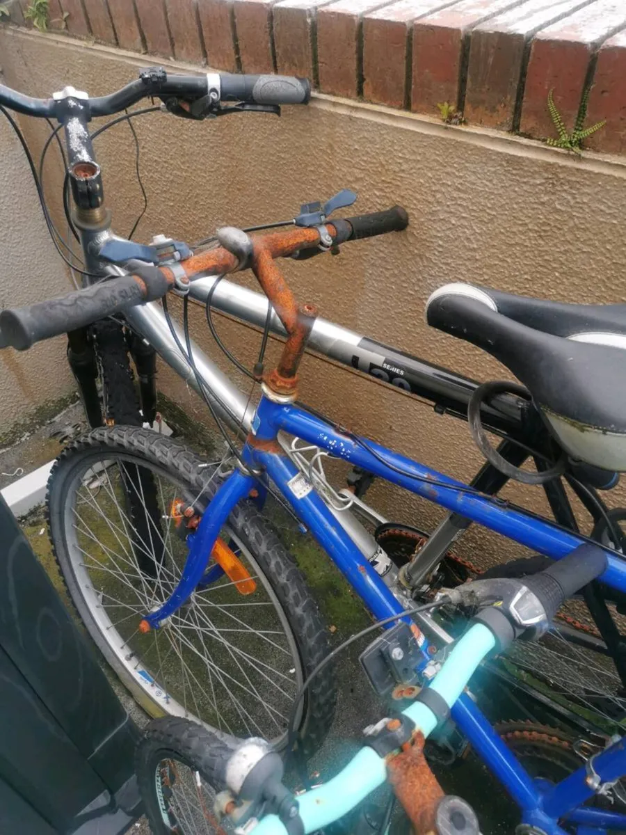 Bike's - Image 3