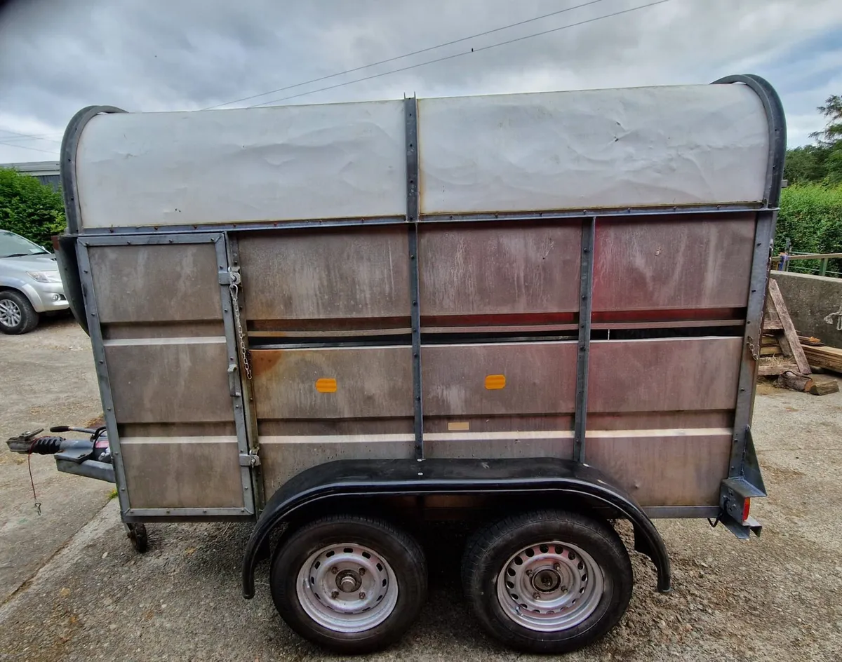 Cattle trailer - Image 3