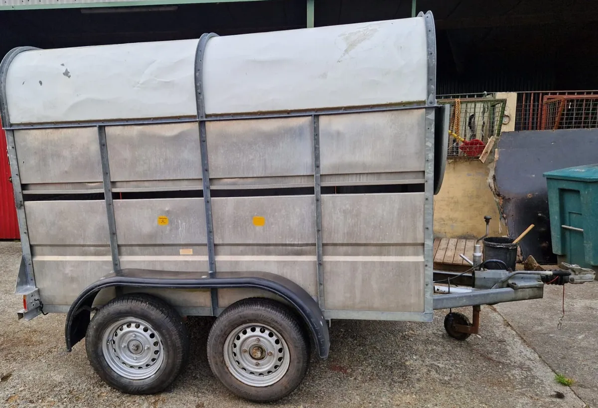 Cattle trailer - Image 4