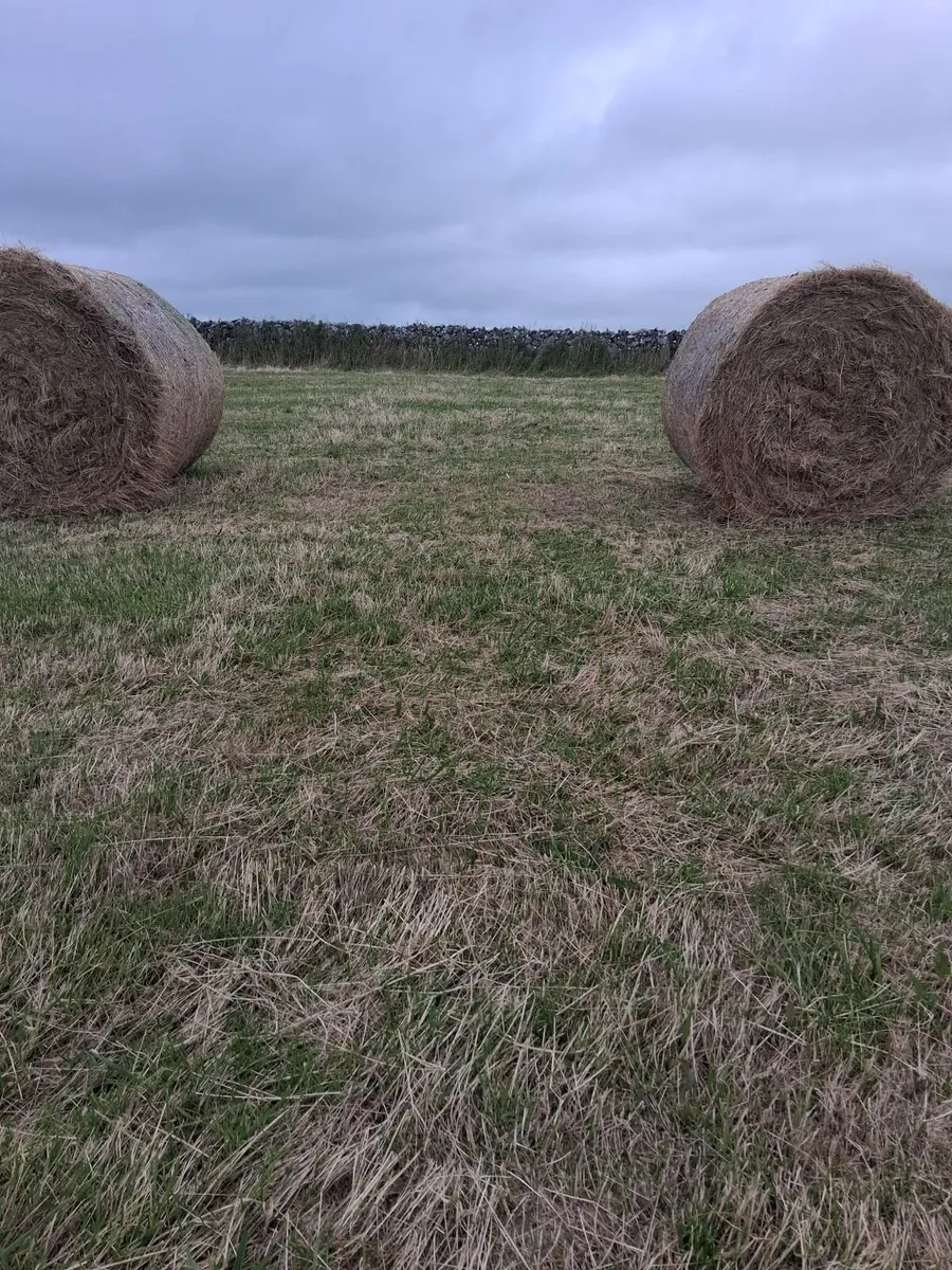***Hay Bales for Sale*** - Image 2