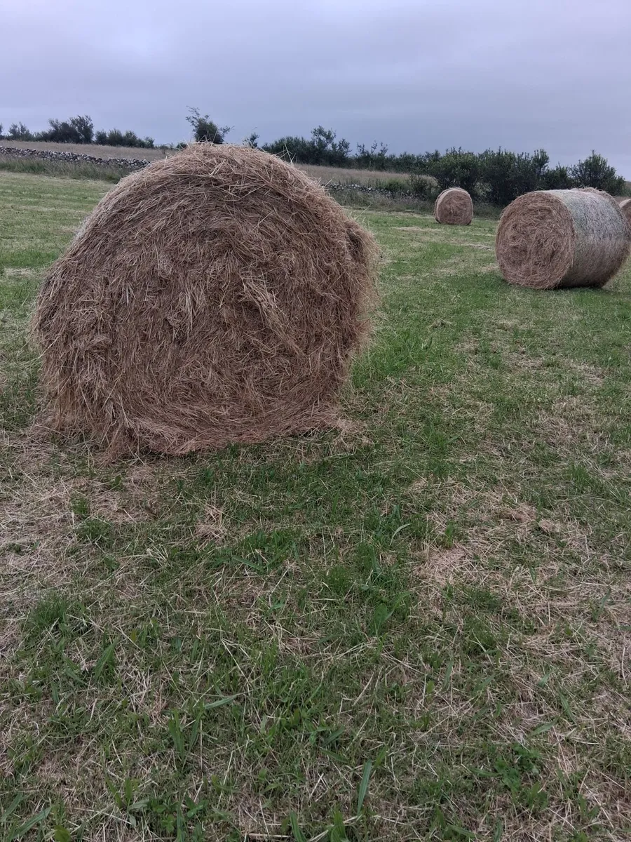 ***Hay Bales for Sale*** - Image 1
