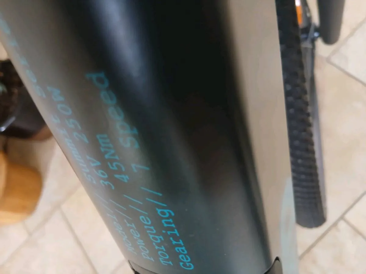 Bike - Image 2