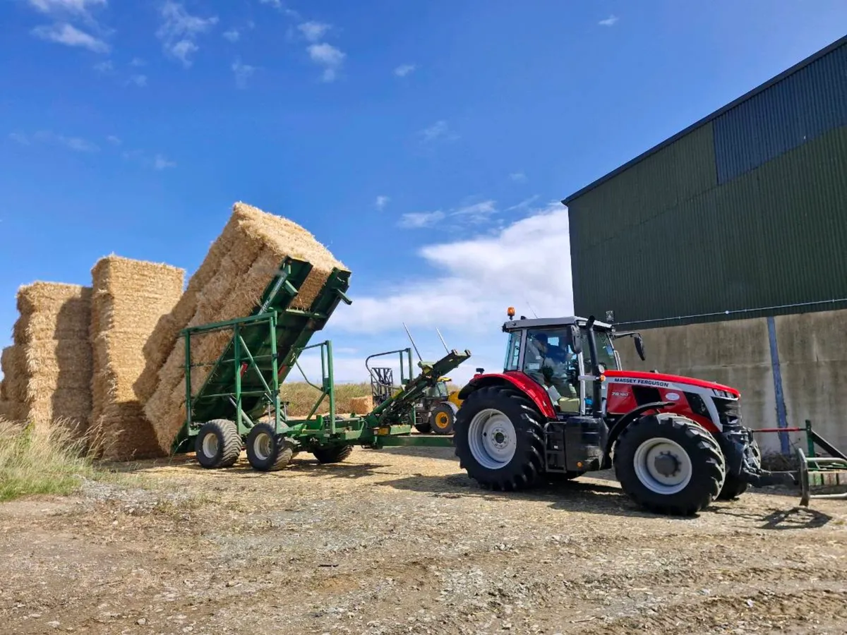 Barley and Wheat Straw - Image 2