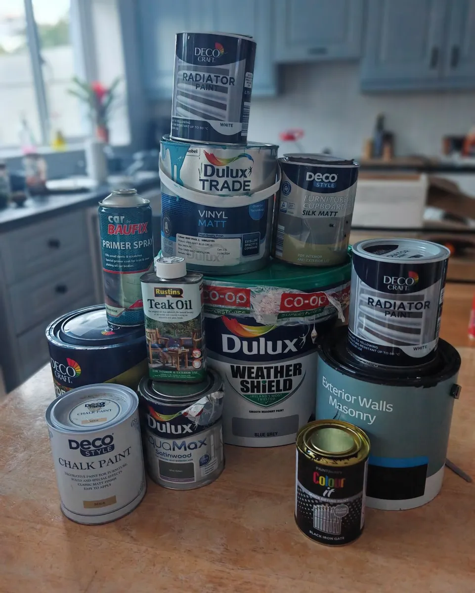 Outdoor and indoor paint