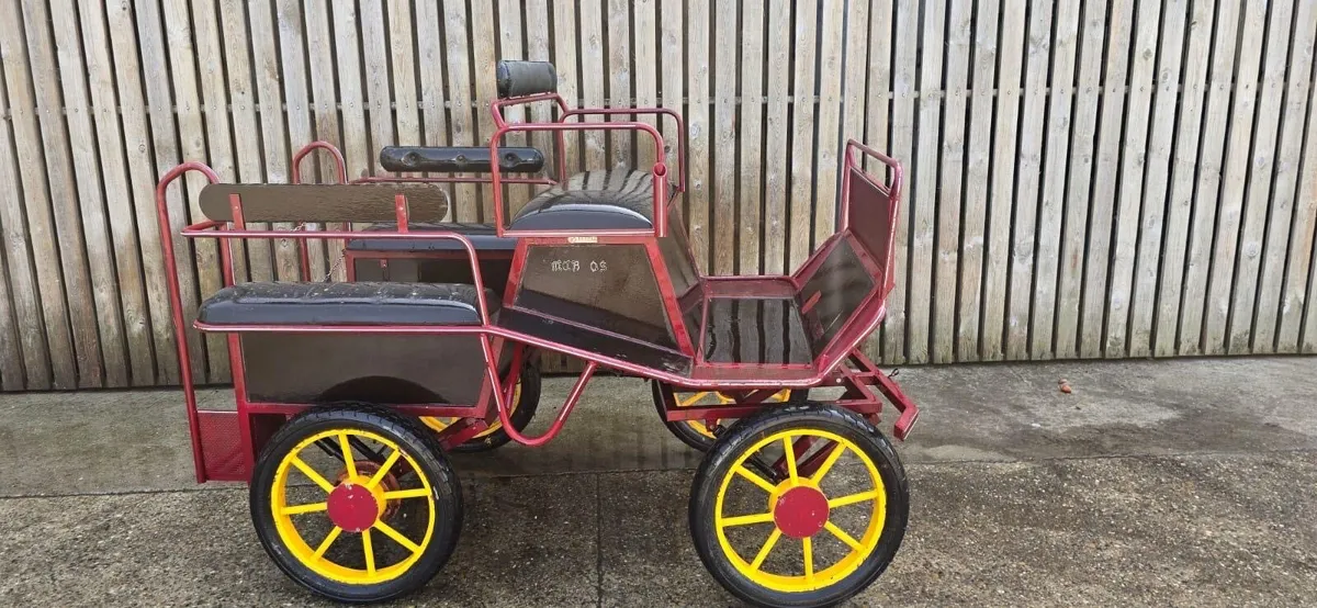 Carriages - Image 3
