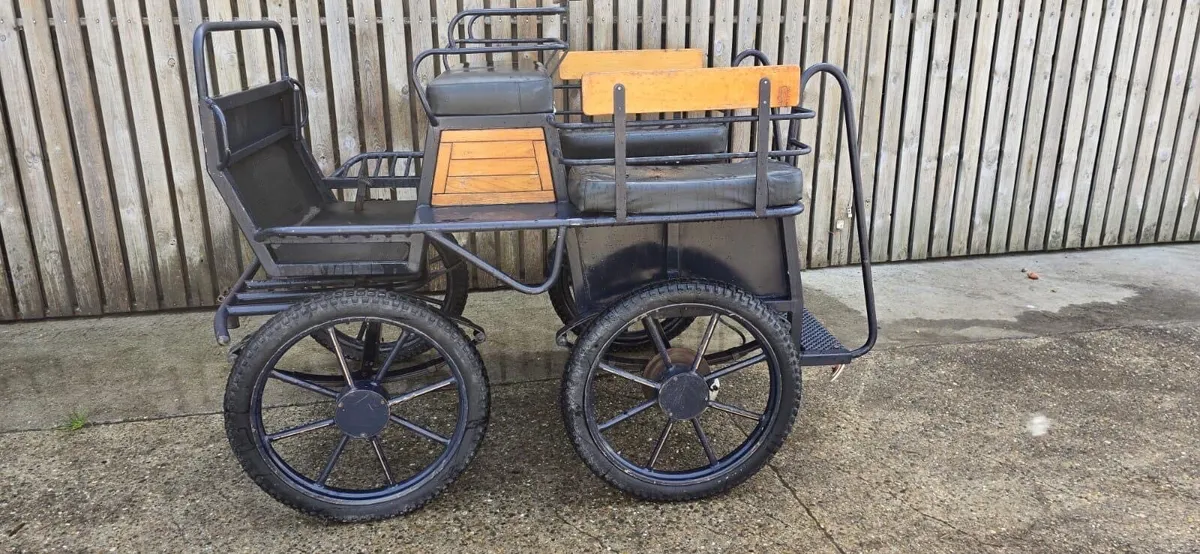 Carriages - Image 4