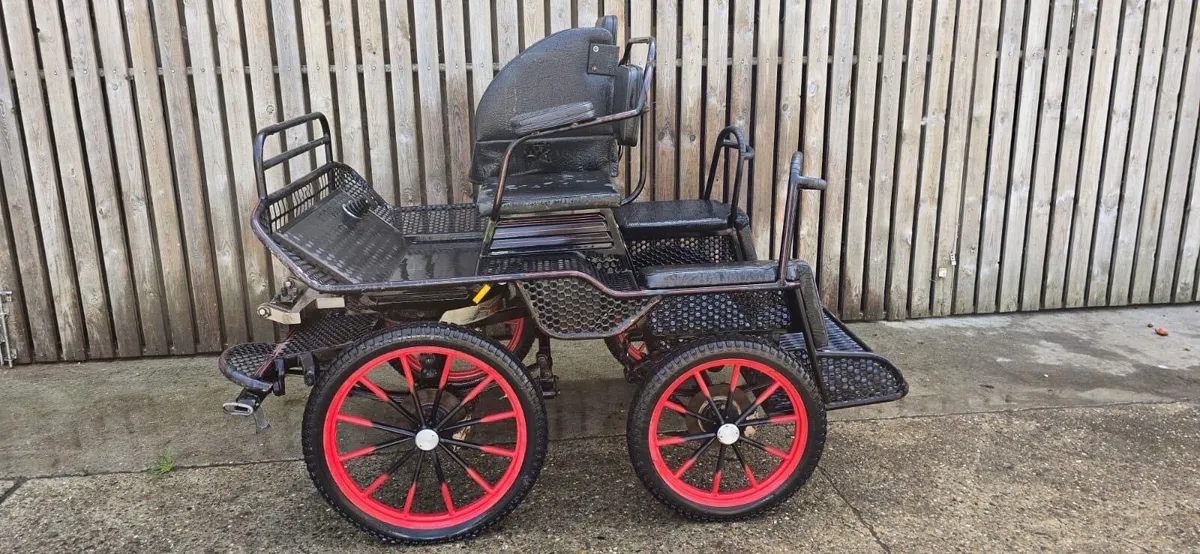 Carriages - Image 1